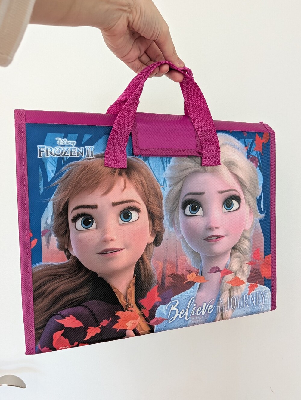 Disney Frozen II Girls foldable organizer Anna & Elsa